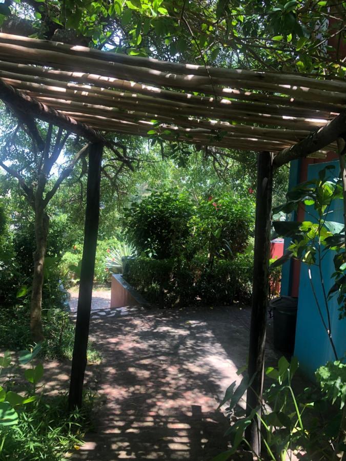 Tri M Waves Lodge ポンタ・ド・オウロ エクステリア 写真