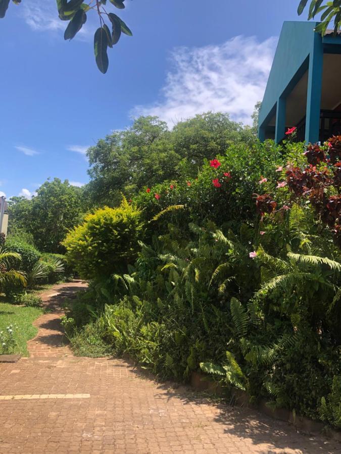 Tri M Waves Lodge ポンタ・ド・オウロ エクステリア 写真