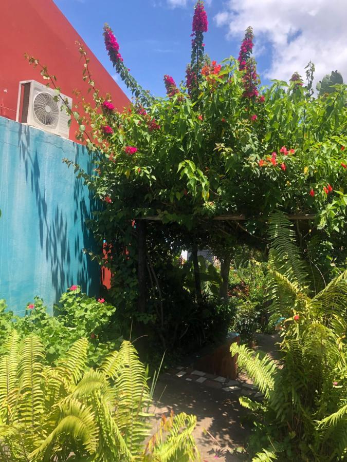 Tri M Waves Lodge ポンタ・ド・オウロ エクステリア 写真